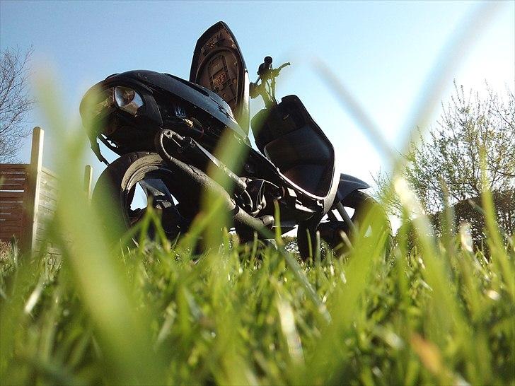 Adly Cat 50 billede 9