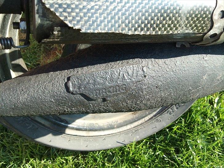 Adly Cat 50 billede 10