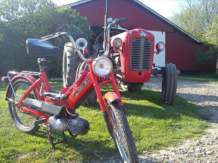 Puch Maxi K billede 10