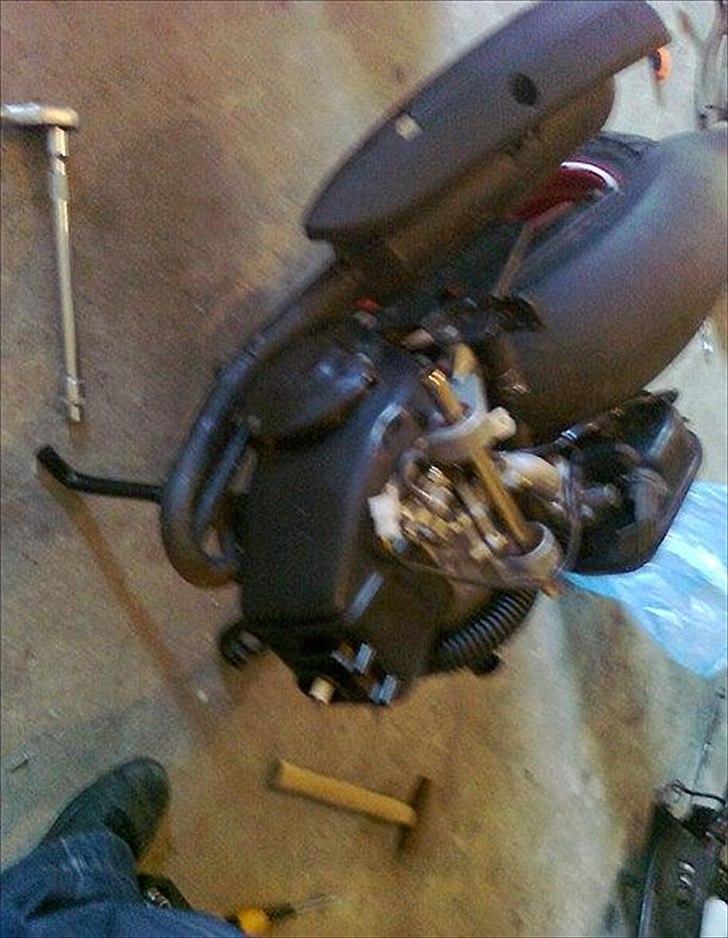 PGO hot 50. SOLGT. -  helt ny motor fra scooterland d. 19/3 2011 -. billede 6