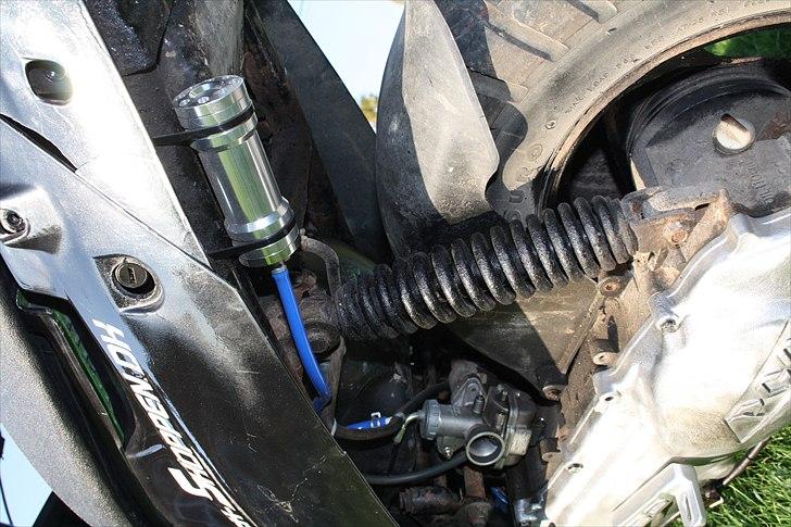 PGO hot50 (solgt) billede 7