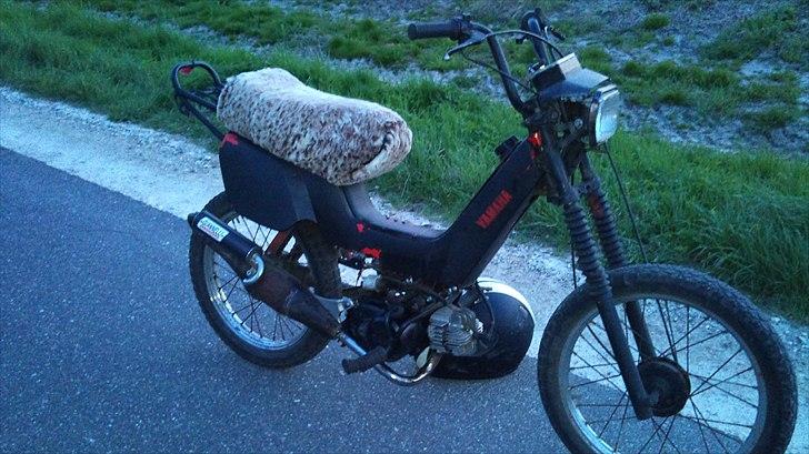 Yamaha Sting / sg50 - Fra siden billede 3