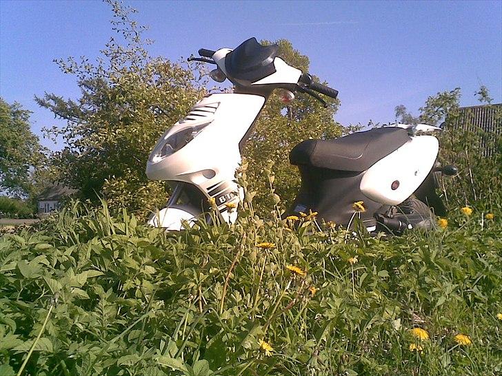 Baotian Rebel 30er billede 1