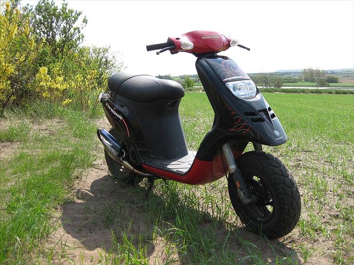 Piaggio Typhoon billede 1