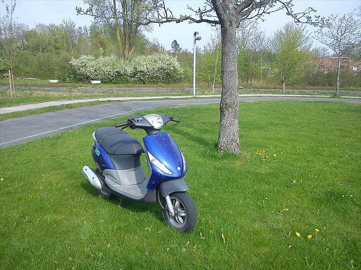 Piaggio New zip  billede 2
