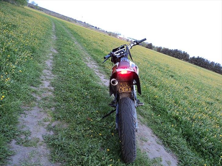 Derbi senda  M smt skjolde billede 5