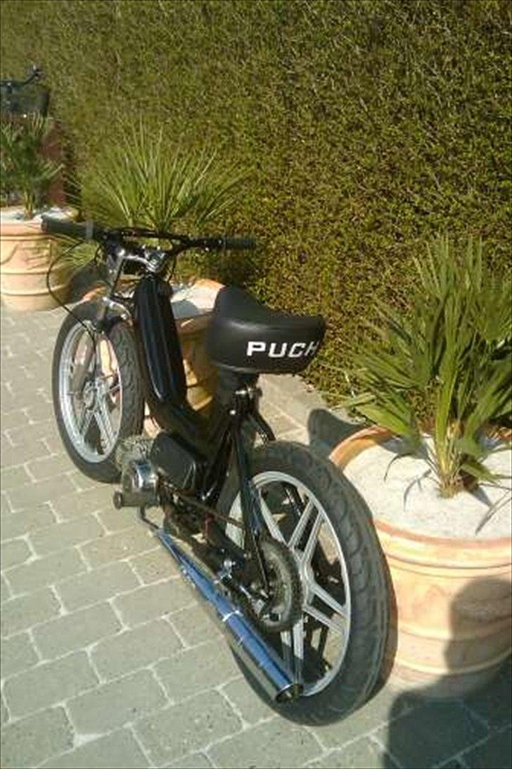 Puch maxi billede 2