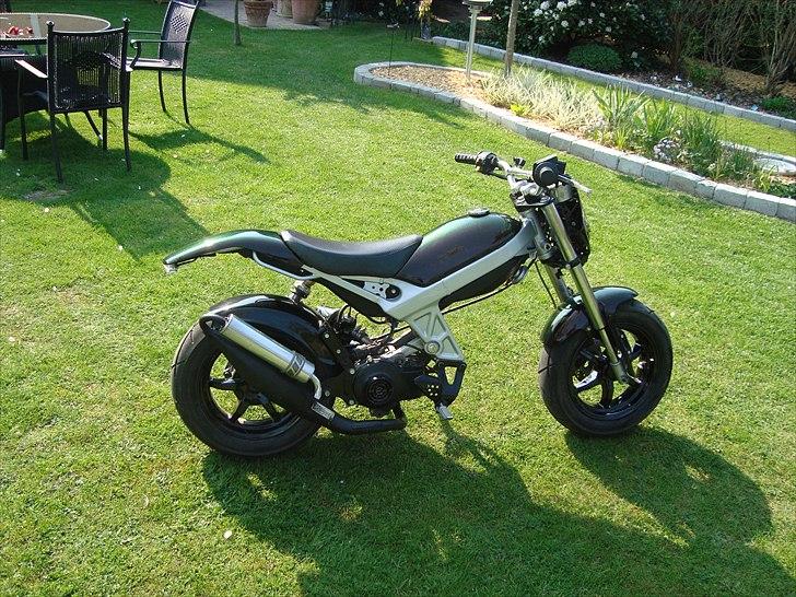 Suzuki Street Magic (byttet) billede 5