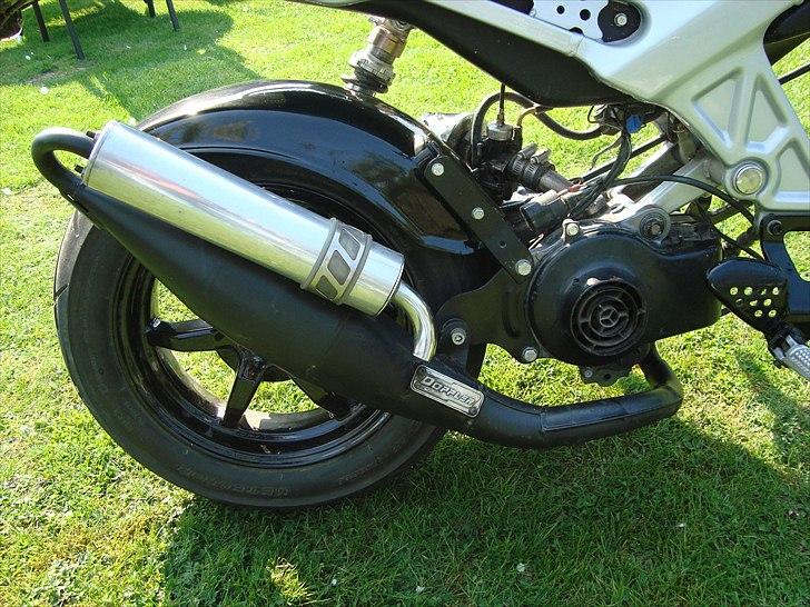 Suzuki Street Magic (byttet) billede 6