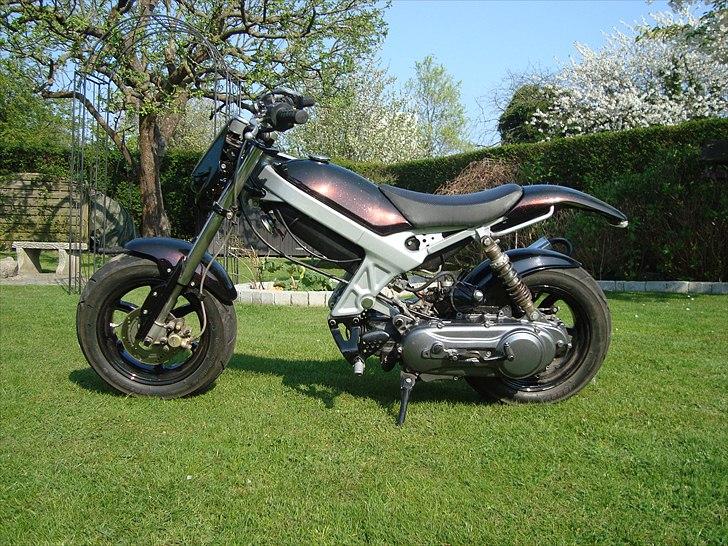 Suzuki Street Magic (byttet) billede 9