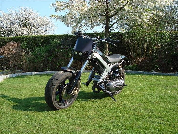 Suzuki Street Magic (byttet) billede 10