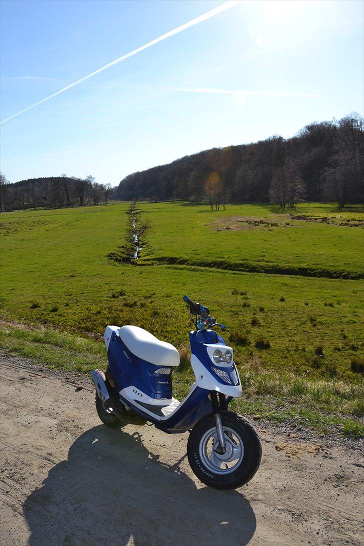 PGO Hot 50 billede 6