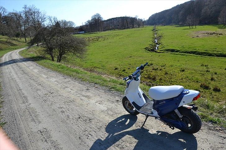 PGO Hot 50 billede 8