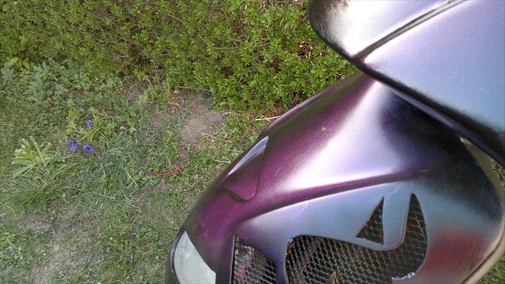 Aprilia Rally AC billede 7