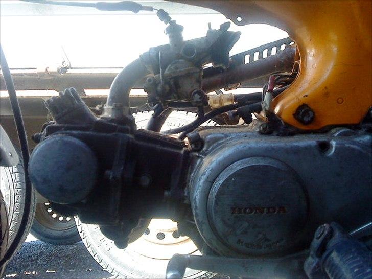 Honda Dax *Original* billede 9