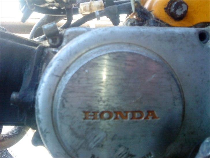 Honda Dax *Original* billede 10