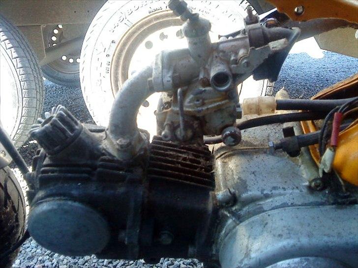 Honda Dax *Original* billede 14