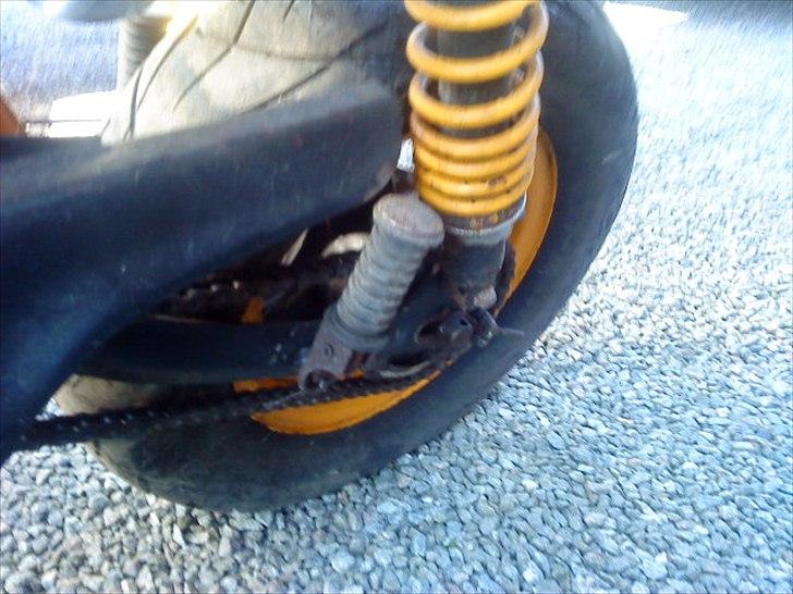 Honda Dax *Original* billede 15