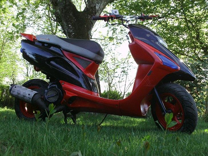 Honda sfx "mille"  billede 17