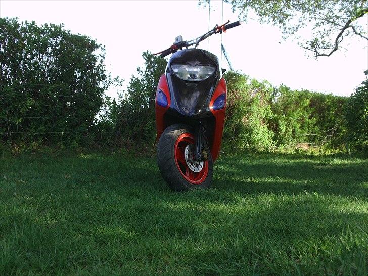 Honda sfx "mille"  billede 18