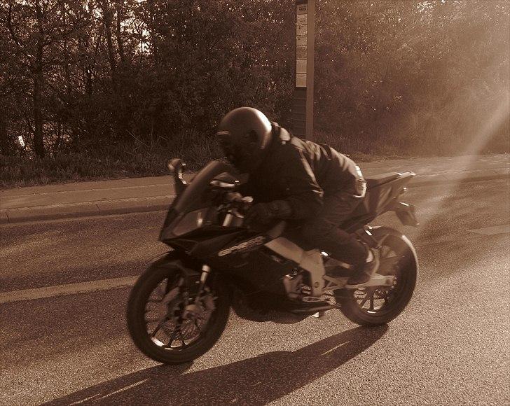 Derbi gpr 50 racing solgt billede 17