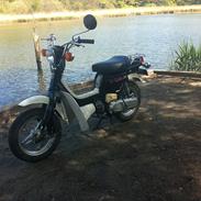 Suzuki Fz50