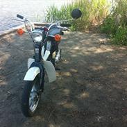 Suzuki Fz50