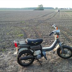 Suzuki Fz 50 - før