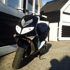 Peugeot Speedfight 2 Black'nWhite SOLGT