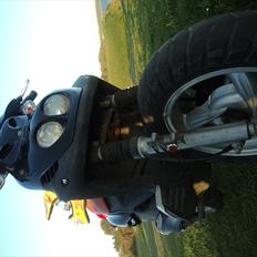 PGO pmx sport  solgt