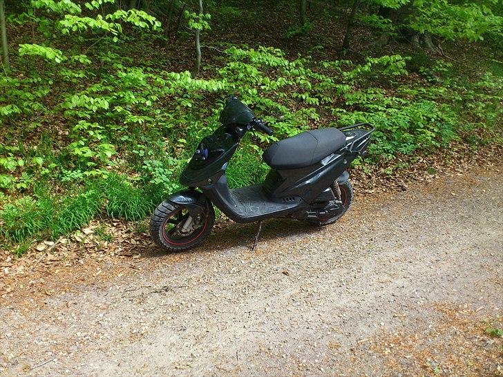 PGO Hot50 "Carbon" Solgt billede 2