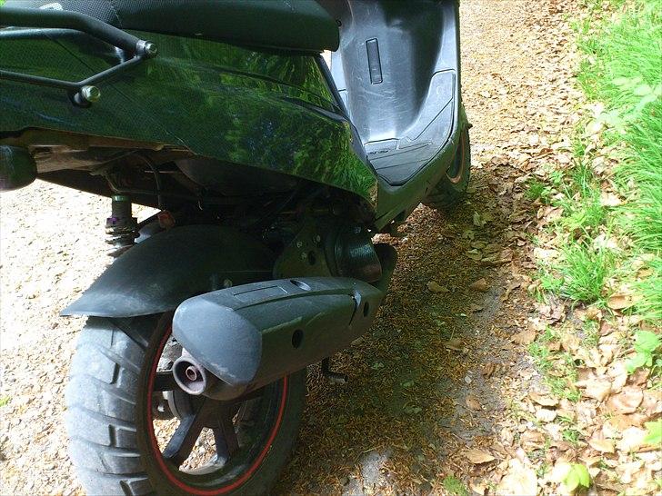 PGO Hot50 "Carbon" Solgt billede 4