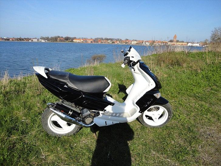 Peugeot Speedfight 2 billede 11