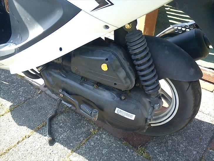 PGO White Magic billede 2