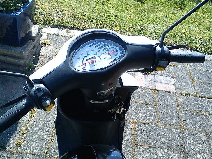 PGO White Magic billede 7