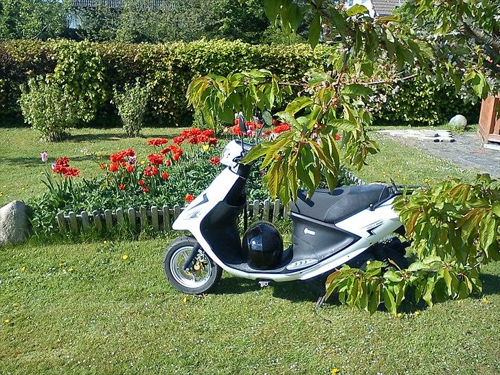 PGO White Magic billede 14