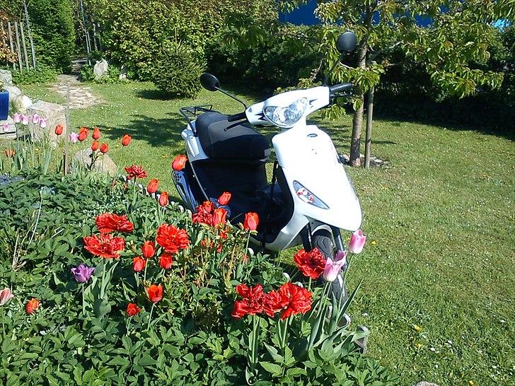 PGO White Magic billede 16