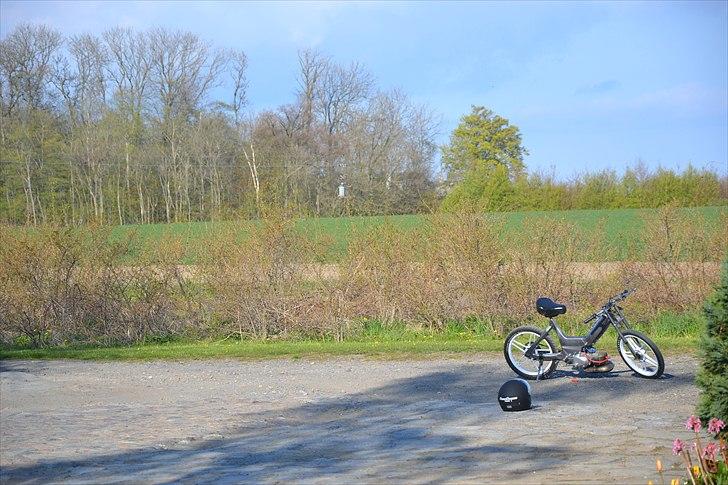 Puch Maxi.  billede 13