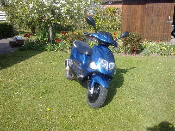 PGO Dr. Big  billede 5