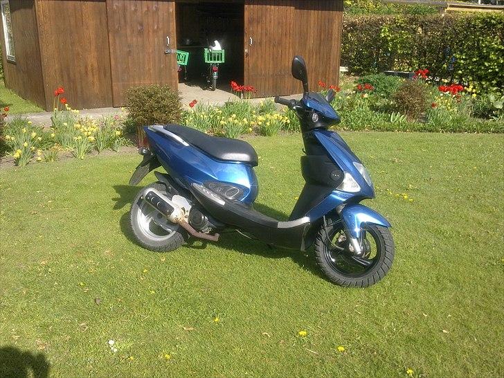 PGO Dr. Big  billede 6