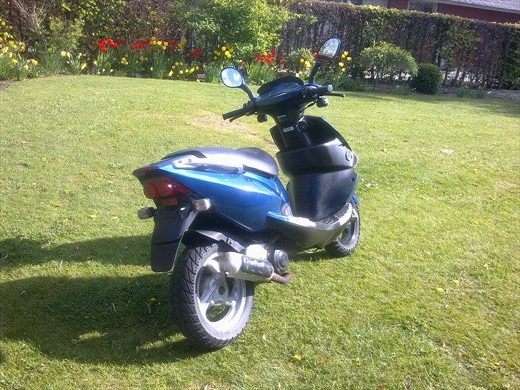 PGO Dr. Big  billede 7