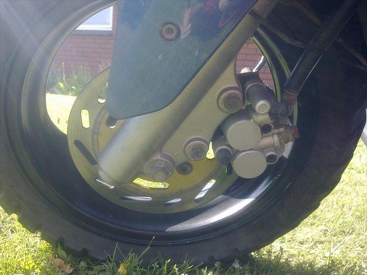 PGO Dr. Big  billede 11