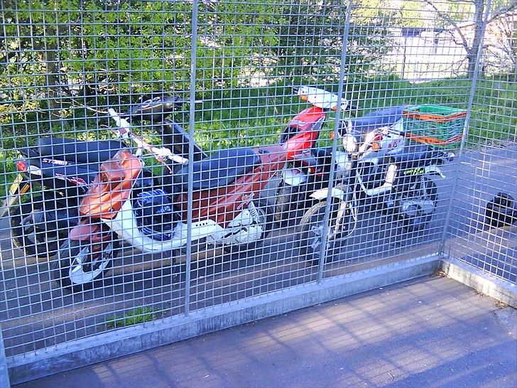 Suzuki Fz 50 *BYTTET* billede 3