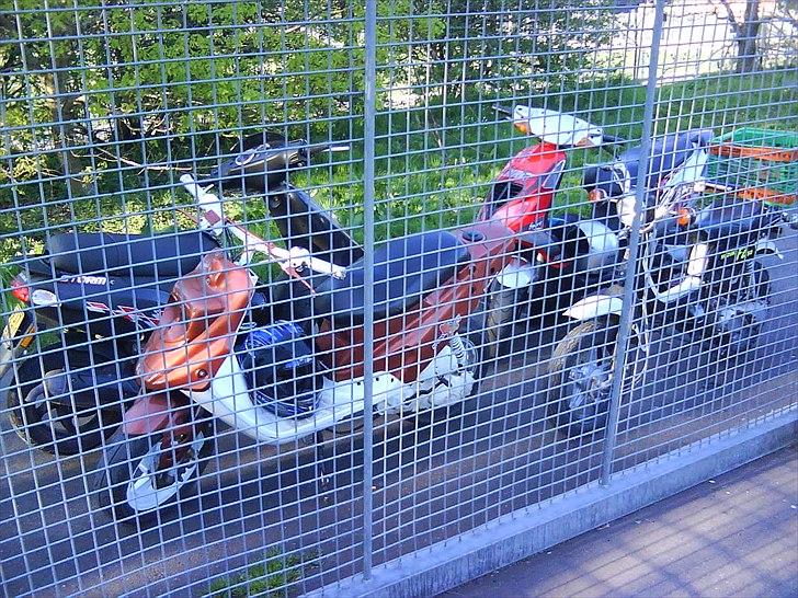 Suzuki Fz 50 *BYTTET* billede 4