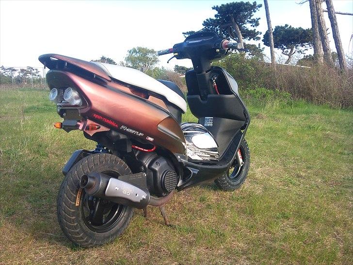 Honda SFX - før billed billede 16