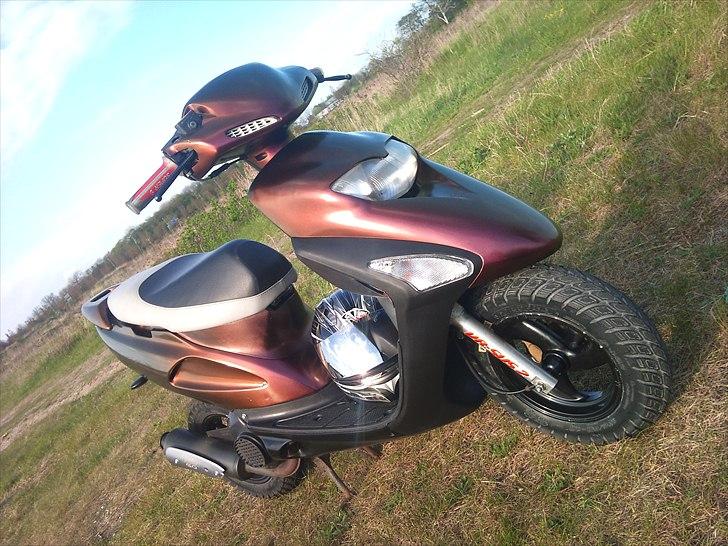 Honda SFX - før billed billede 17