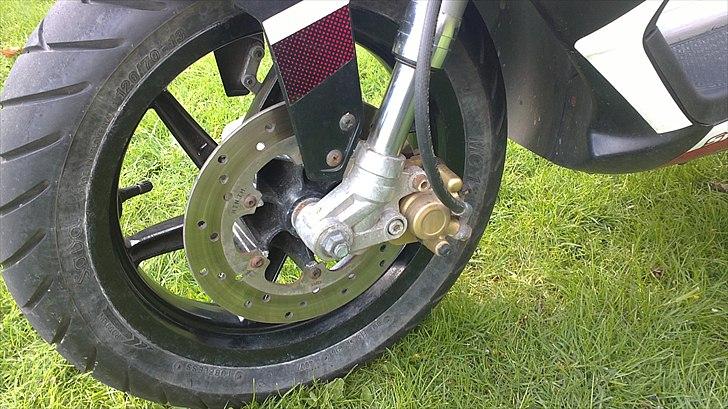 Piaggio NRG Power DT - Bremsekaliper billede 17