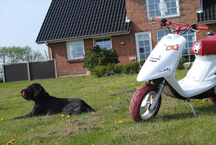 Yamaha jog CY50 3KJ  fs billede 10