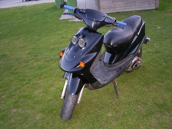 Adly falcon billede 1