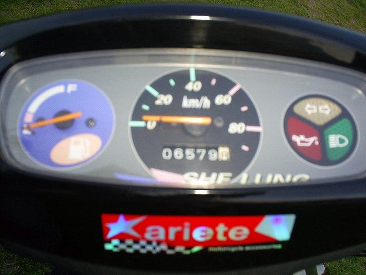 Adly falcon billede 4